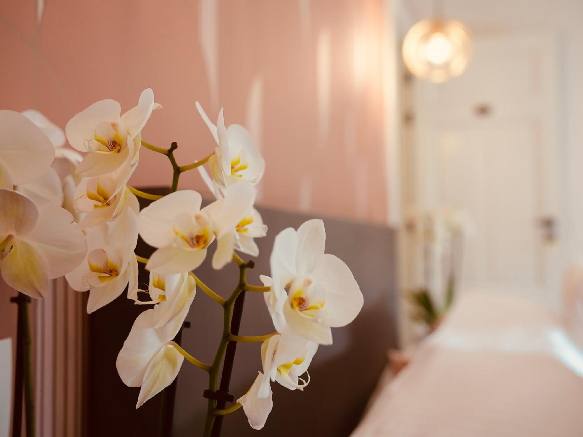 L'Amarante Chambres D'Hotes Ou Gite Citadin Theux Esterno foto